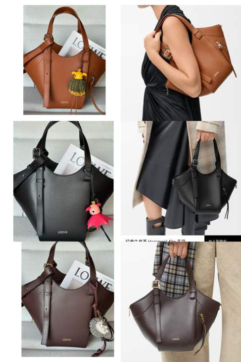 Picture of Loewe Handbags _SKUfw239905174fw